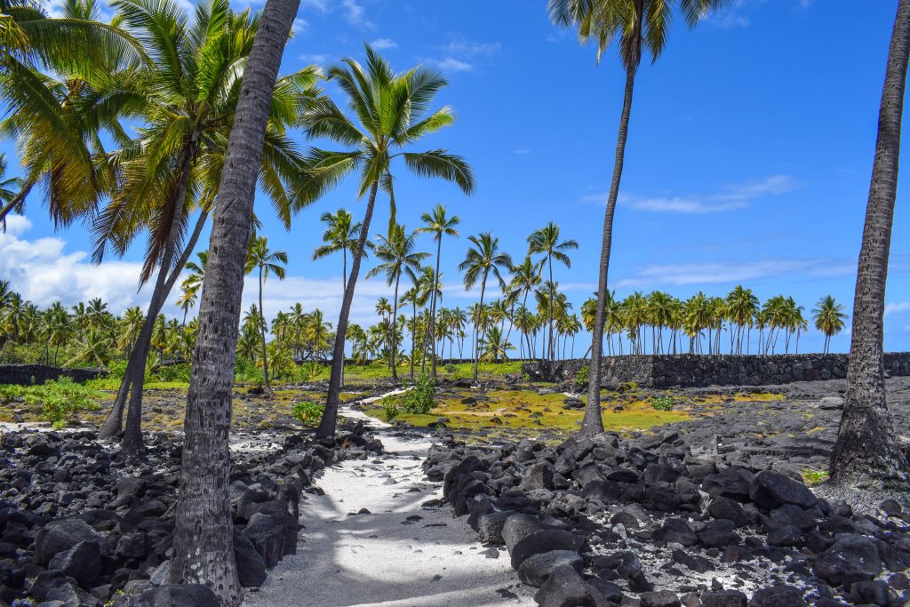 Cultural Foodies' Guide to Visiting Hawaii's Big Island (Kona & West ...