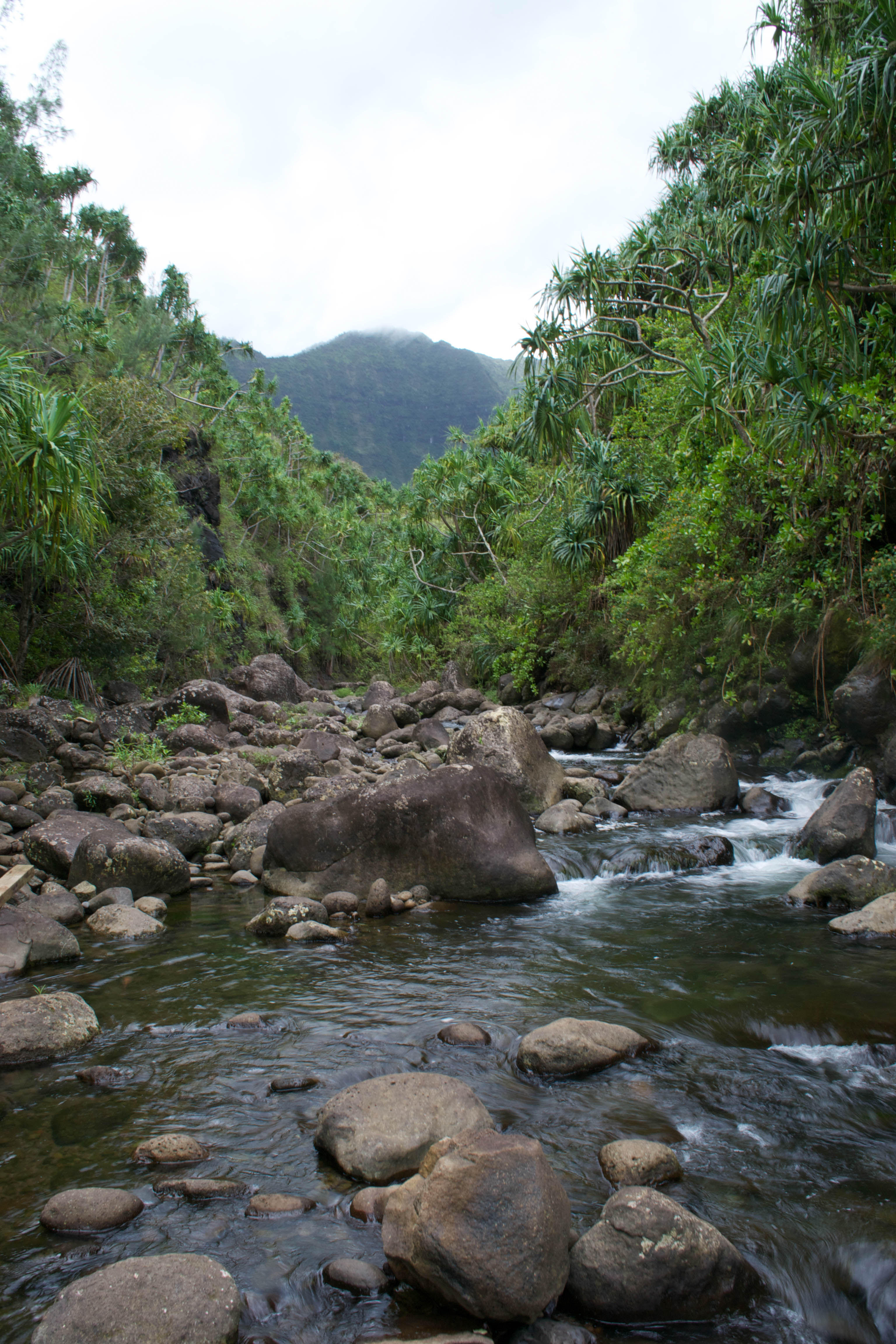Kauai Hiking Trails - Cultural Foodies