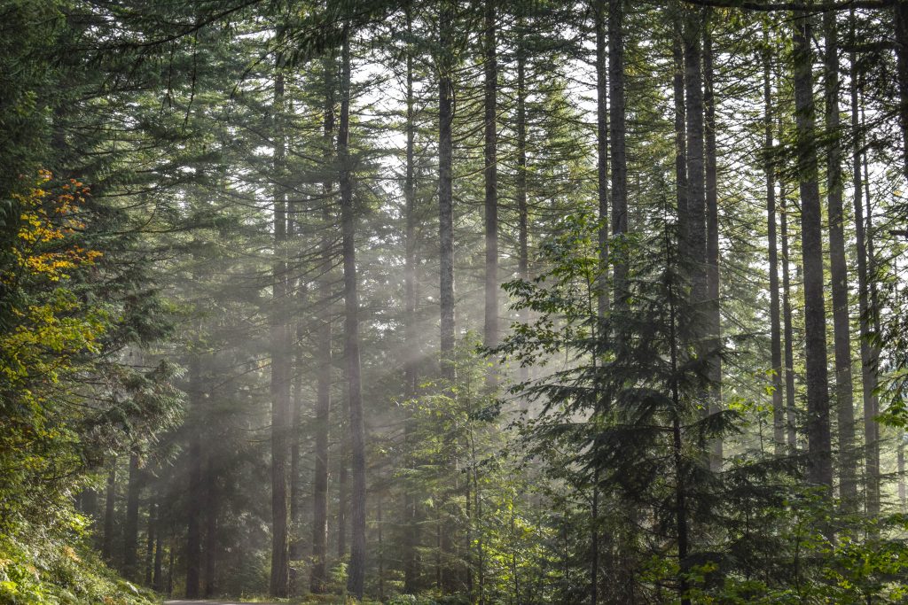 20 Best Weekend Getaways in Washington State - Cultural Foodies