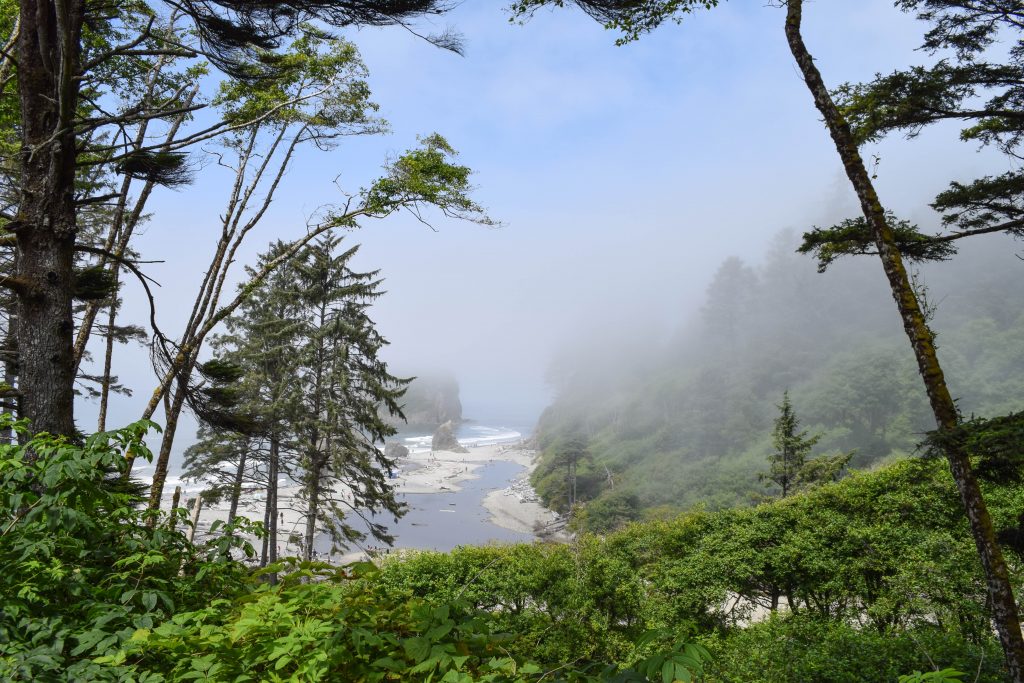 14 Awesome Things To Do On The Olympic Peninsula